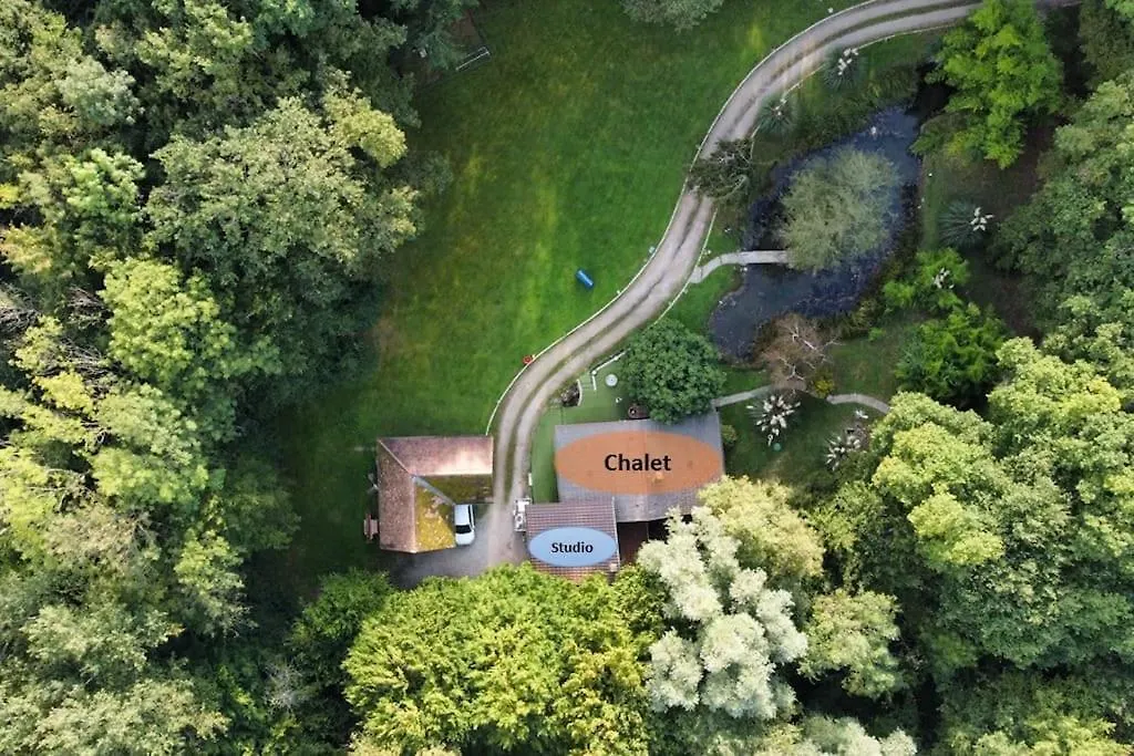 Chalet Avec Spa Et Etang A Proximite Du Lac Anthy-sur-Leman